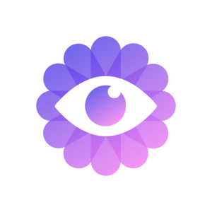 Purple Garden